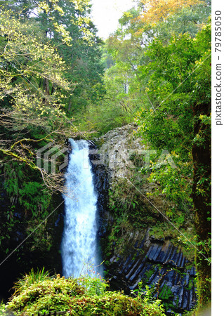 Izu Rinno Falls 79785050