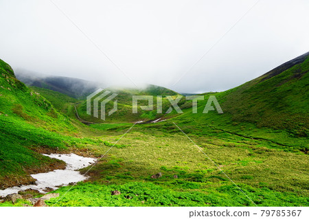 秋田駒岳、姆明谷、小岳地區 秋田駒岳、姆明谷、小岳地區 79785367