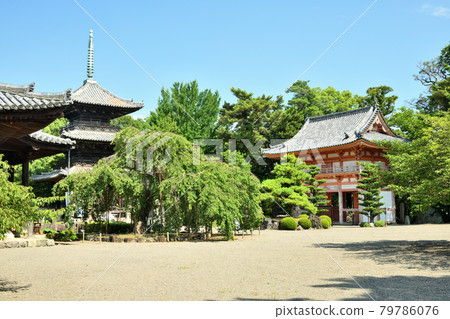 道成寺三重塔(左)、仁王門(右)【和歌山縣日高區日高川町】 道成寺三重塔(左)、仁王門(右)【和歌山縣日高區日高川町】 79786076