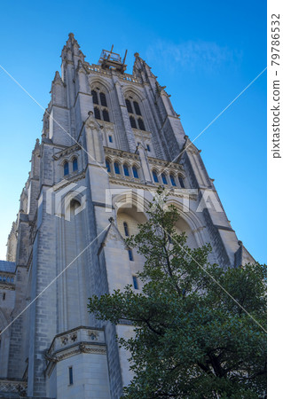 華盛頓國家大教堂早晨 79786532