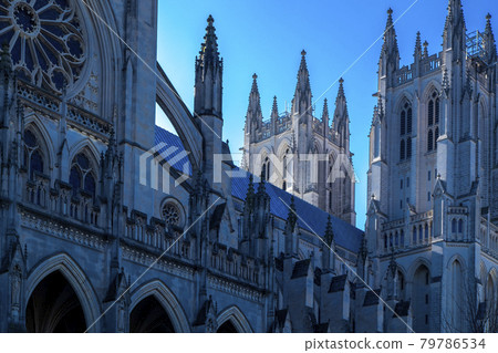 華盛頓國家大教堂早晨 華盛頓國家大教堂早晨 79786534