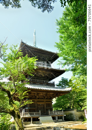 三重堂[和歌山縣日高區日高川町] 79786641