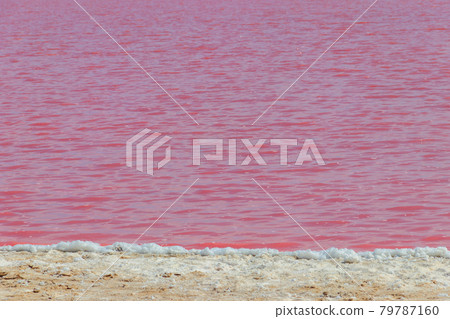 Surface of the pink salty Syvash lake in Kherson region, Ukraine. Natural background, texture Surface of the pink salty Syvash lake in Kherson region, Ukraine. Natural background, texture 79787160