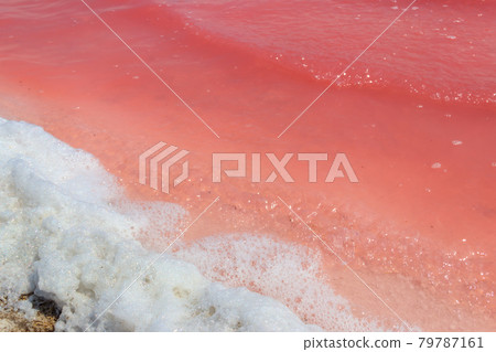 Surface of the pink salty Syvash lake in Kherson region, Ukraine. Natural background, texture 79787161