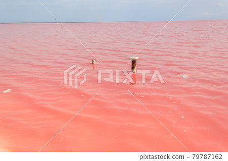 Iron poles with salt deposits on pink salt Syvash lake in Kherson region, Ukraine Iron poles with salt deposits on pink salt Syvash lake in Kherson region, Ukraine 79787162