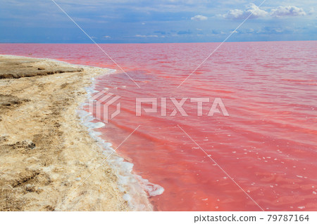 View of the pink salty Syvash lake in Kherson region, Ukraine 79787164