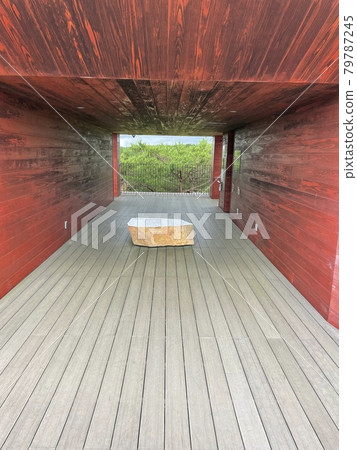 走向森林 走向森林 79787245