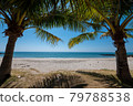 Coconut trees on beach with blue sea and sky 79788538