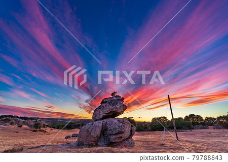 Pink sunset over the rock with tree on top 79788843