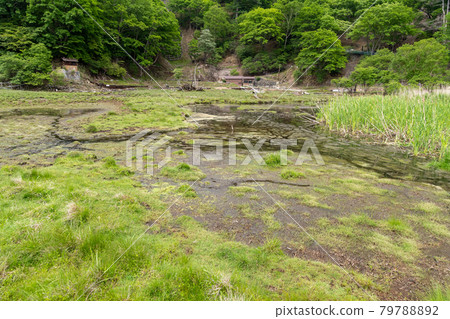 Yumoto Onsen Marsh 79788892