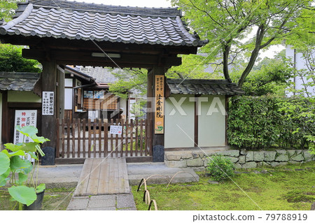 花寺,後空院荷花盛開 花寺,後空院荷花盛開 79788919