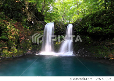 [Yamanashi Prefecture] Fresh green Kaneyama Falls 79789096