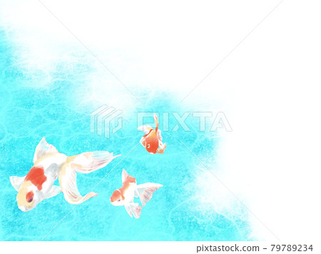 Goldfish (wallpaper, background) 79789234