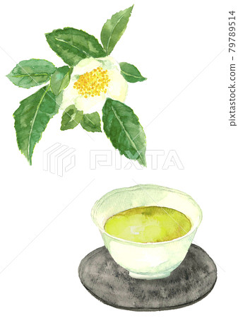 New tea and tea flowers in the tea plantation [Hand-painted watercolor] White background with copy space PNG 79789514