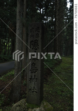 Shrine Shrine Hayashi Woods Forest Forest Nature Nature Sacred Shrine Shrine Hayashi Woods Forest Forest Nature Nature Sacred 79789881