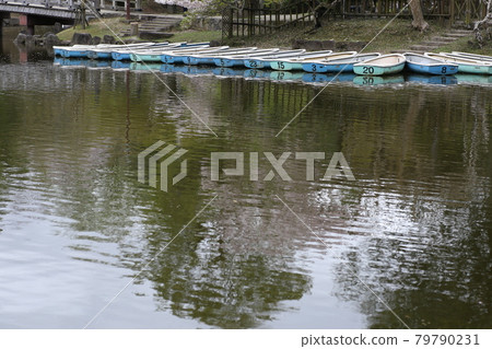 Nara Park Ukimido Pond Boat Nara Park Ukimido Pond Boat 79790231