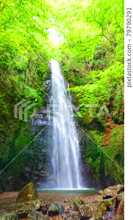 奧多摩的河之山瀑布（Mt. Kawanori） 79790291