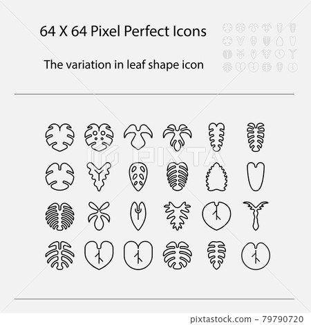 The variation of leaf shape icon. Variation of leaves vector outline icon The variation of leaf shape icon. Variation of leaves vector outline icon 79790720