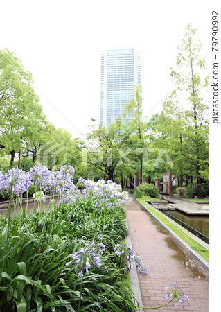 Kobe City Hall (Kobe City, Hyogo Prefecture) Kobe City Hall (Kobe City, Hyogo Prefecture) 79790992