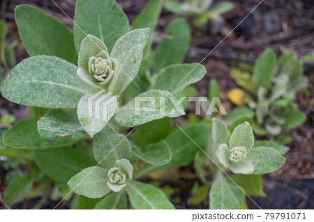 留下水滴 79791071