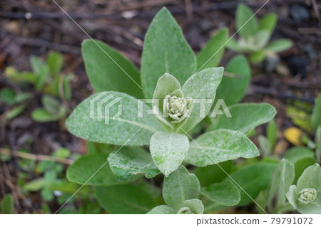 留下水滴 79791072