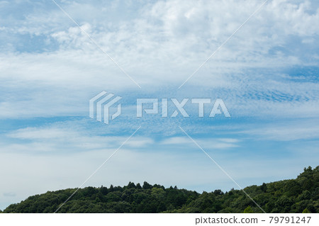 天空和風景 天空和風景 79791247