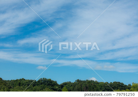 Sky 2 Sky 2 79791250