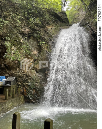 Saimyoji Falls 79792464