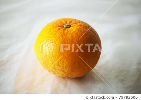 Winter fruit sweet summer orange Winter fruit sweet summer orange 79792600