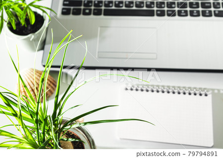 Working place selective focus 79794891