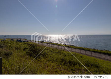 海邊公園 79795280