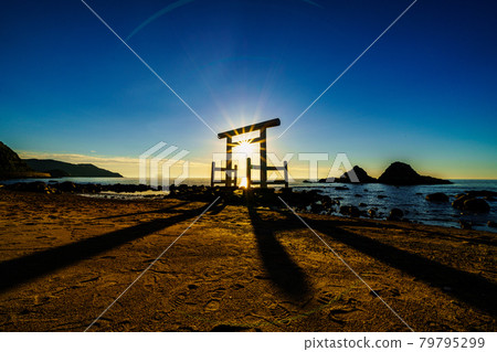 糸島市二見浦的夜景 糸島市二見浦的夜景 79795299