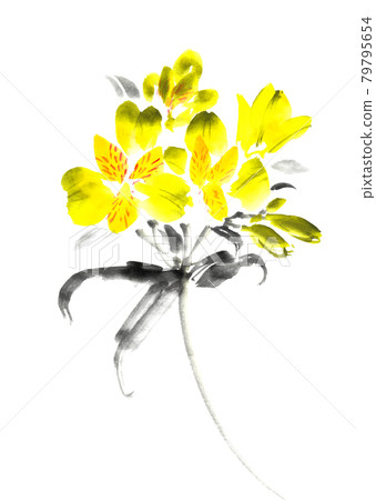 Alstroemeria painted with ink painting technique 79795654