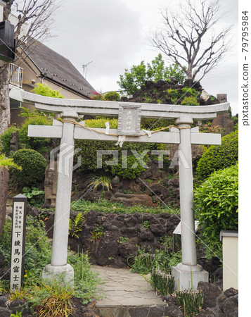 東京練馬和下練馬的藤塚 東京練馬和下練馬的藤塚 79795984