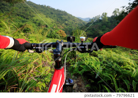Riding mountain bike on summer rainforest trail Riding mountain bike on summer rainforest trail 79796621