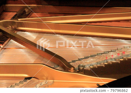 Inside the grand piano Inside the grand piano 79796862