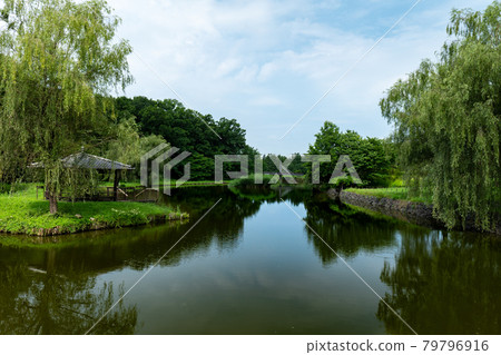7月夏天古河久保公園的風景 7月夏天古河久保公園的風景 79796916