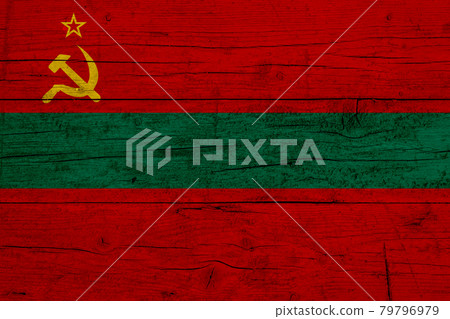 Flag of Transnistria. Wooden texture of the flag of Transnistria Flag of Transnistria. Wooden texture of the flag of Transnistria 79796979