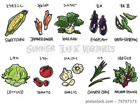 Summer vegetable set Summer vegetable set 79797373