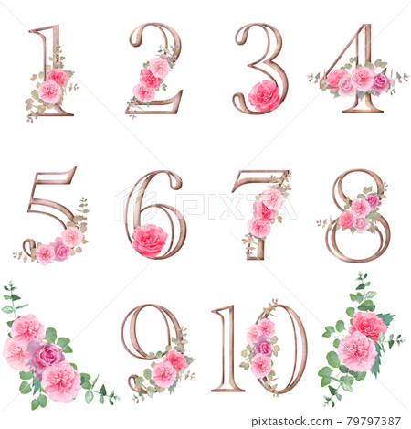 Scandinavian style antique style retro number illustration material with fashionable flowers and plants 79797387