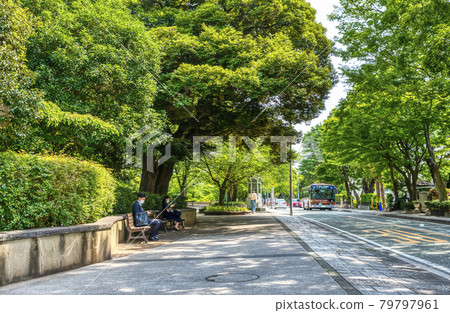 橫濱市容元町公園 橫濱市容元町公園 79797961
