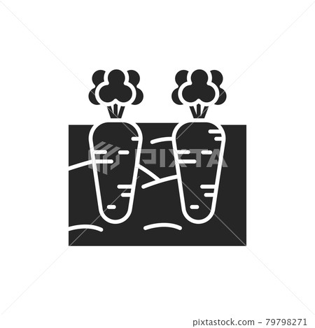 Growing carrots color line icon. Pictogram for web page, mobile app, promo. Growing carrots color line icon. Pictogram for web page, mobile app, promo. 79798271