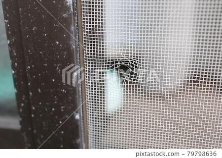 Broken screen door 79798636