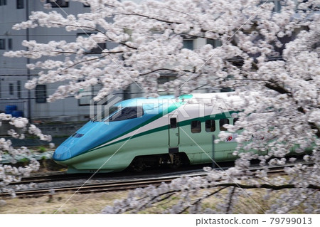 Torei Yu Tsubasa Sakura Spring Arrival Torei Yu Tsubasa Sakura Spring Arrival 79799013