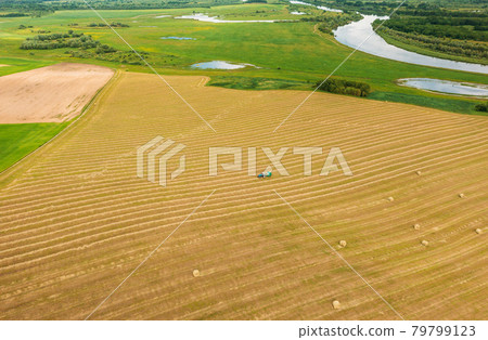 Aerial View Tractor Collects Dry Grass In Straw Bales In Wheat Field. Special Agricultural Equipment. Hay Bales, Hay Making. 79799123