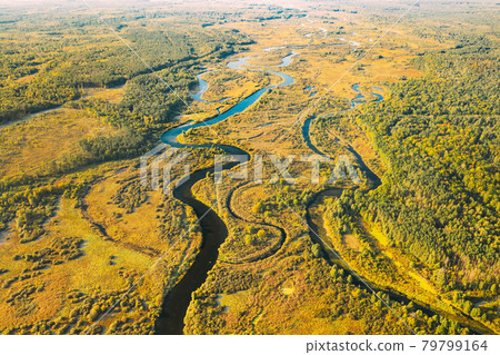 Aerial View Green Forest Woods And River Landscape In Sunny Summer Day. Top View Of Beautiful European Nature From High Attitude In Summer Season. Drone View. Bird's Eye View 79799164