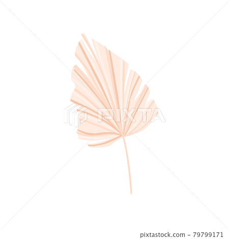 Dry palm leaf on a white background. For the decoration of invitations, flyers, postcards. Vector illustration. Dry palm leaf on a white background. For the decoration of invitations, flyers, postcards. Vector illustration. 79799171
