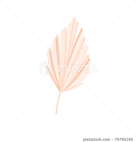 Dry palm leaf on a white background. For the decoration of invitations, flyers, postcards. Vector illustration. Dry palm leaf on a white background. For the decoration of invitations, flyers, postcards. Vector illustration. 79799199