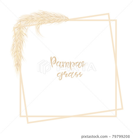 Pampas grass. Decorative background with dry grass in boho style. Vector illustration. Pampas grass. Decorative background with dry grass in boho style. Vector illustration. 79799208