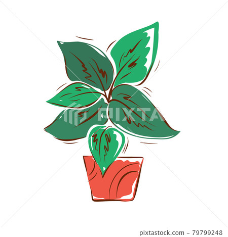 Flower in a pot hand-drawn illustration on a white background. Vector. Flower in a pot hand-drawn illustration on a white background. Vector. 79799248